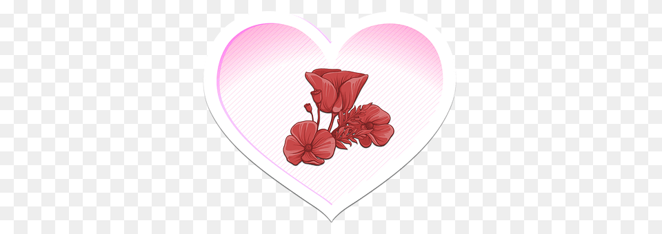 Heart Flower, Petal, Plant Free Transparent Png