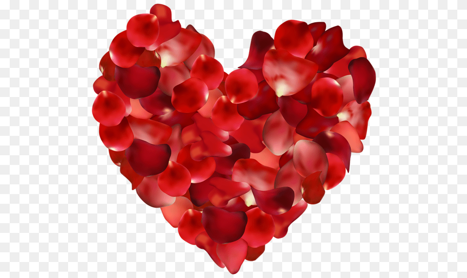 Heart, Flower, Petal, Plant Free Png