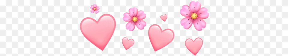 Heart, Flower, Petal, Plant Free Transparent Png