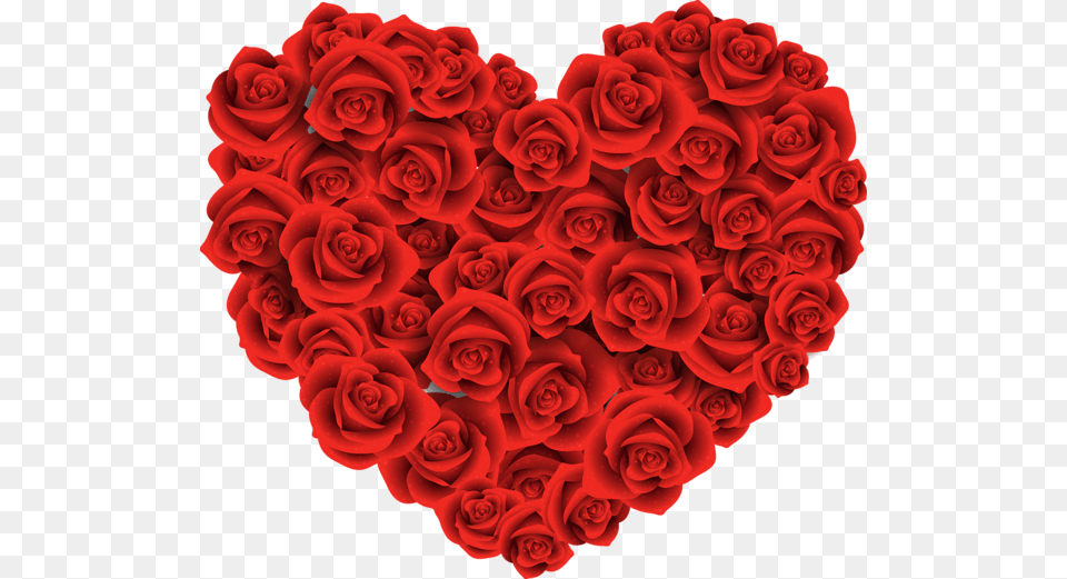 Heart, Flower, Plant, Rose, Pattern Png