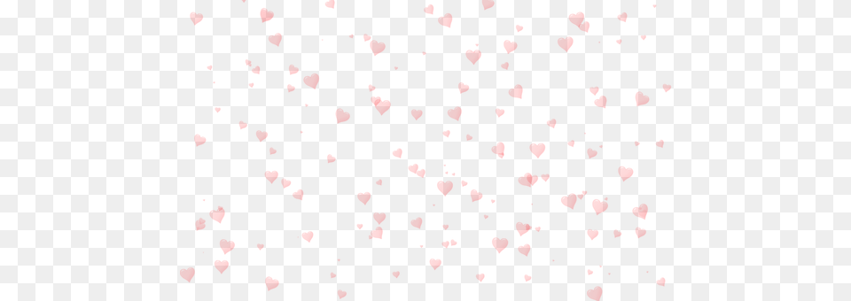 Heart Flower, Petal, Plant, Paper Free Transparent Png