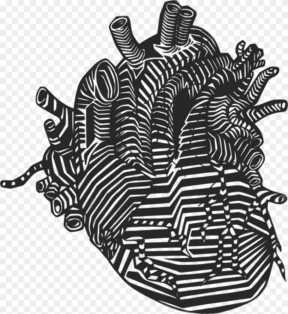 Heart Anatomy Drawing Clip Art, Doodle, Animal, Mammal, Wildlife Free Png Download
