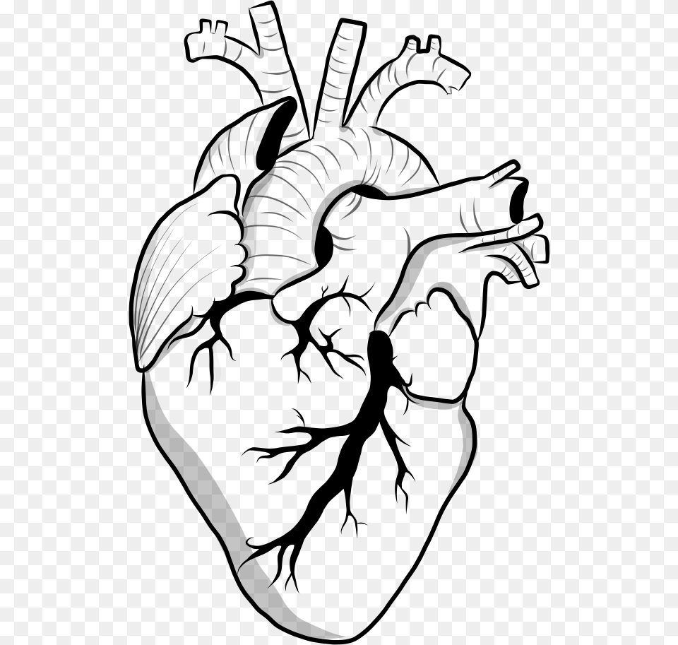 Heart Black And White Clipart Doodle Transparent Aesthetic Black And White Outline, Gray Png Image