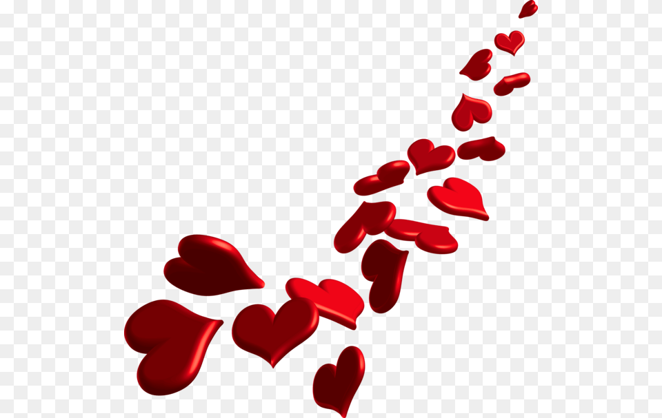 Heart Border, Flower, Petal, Plant Png