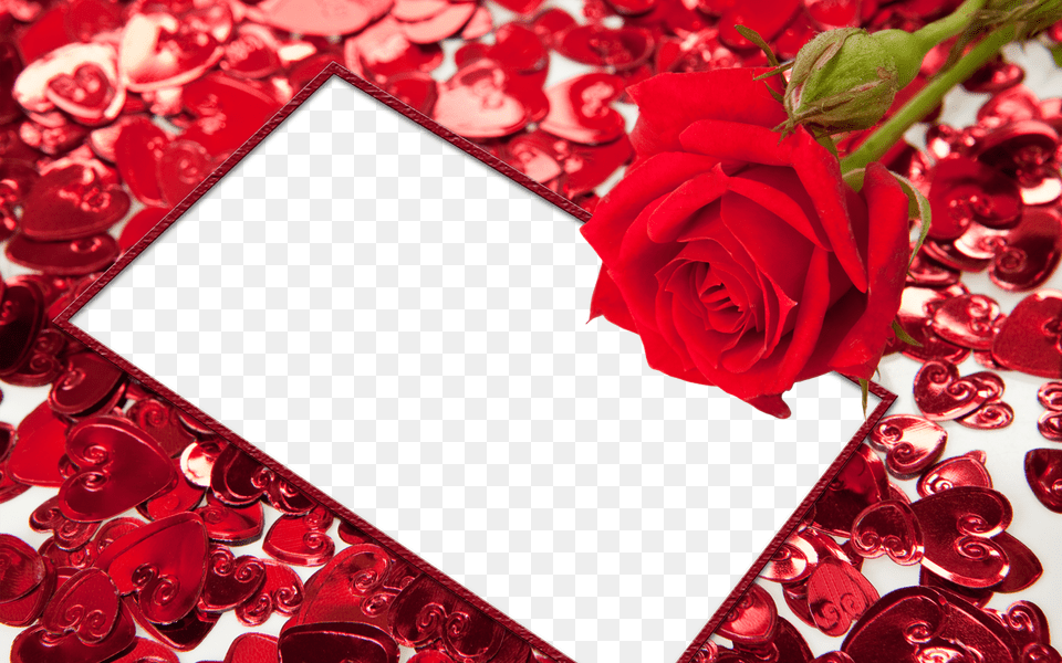 Heart Border Hd Heart Border Hdpng Red Roses And Hearts, Flower, Petal, Plant, Rose Free Transparent Png