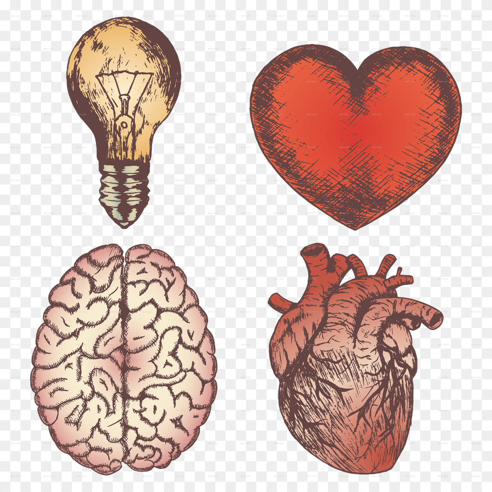 Heart Brain Bulb Sketch Set Human Heart And Brain, Light, Lightbulb Png