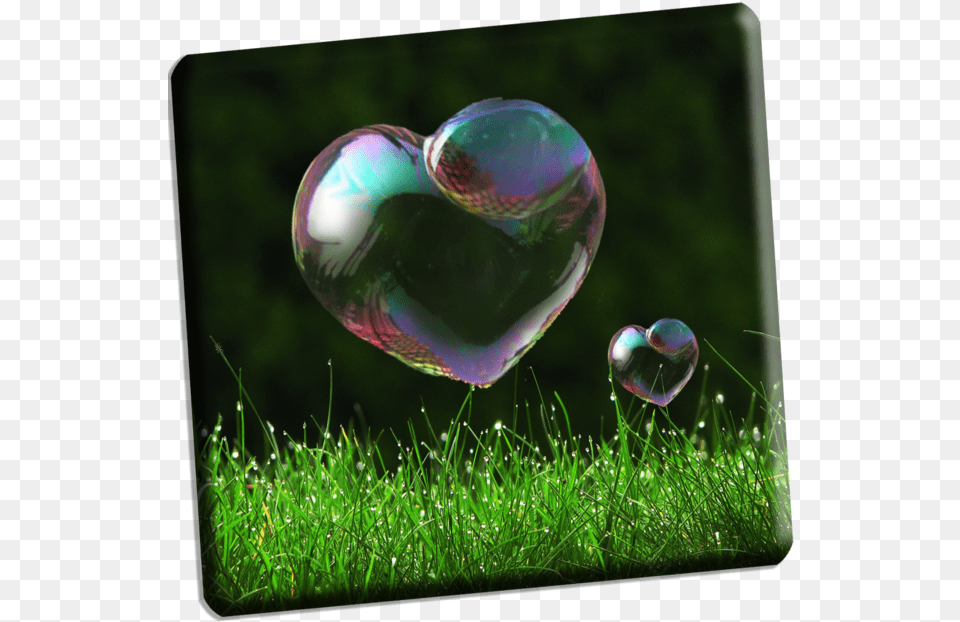 Heart Bubbles 4 Picsart Background Cb Editing Hd, Sphere, Grass, Plant, Bubble Free Transparent Png
