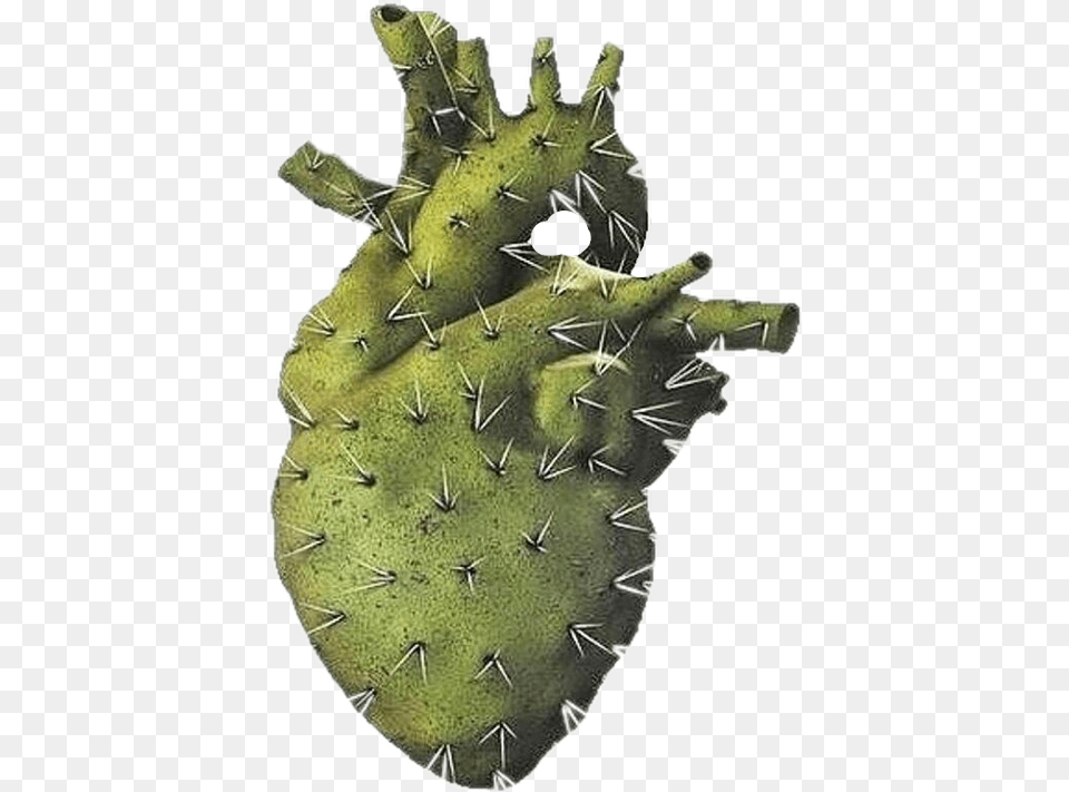 Heart Cactus Transparent Cartoons Cactus Heart, Outdoors, Windmill, Plant Free Png Download