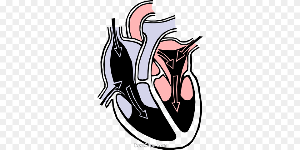Heart Chambers Royalty Vector Clip Art Illustration, Smoke Pipe Free Png