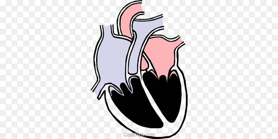 Heart Chambers Royalty Vector Clip Art Illustration, Smoke Pipe, Clothing, Footwear, Shoe Free Png