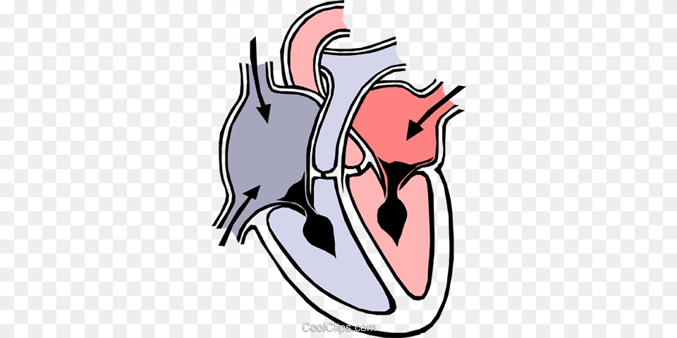 Heart Chambers Royalty Vector Clip Art Illustration, Smoke Pipe, Ct Scan Free Png