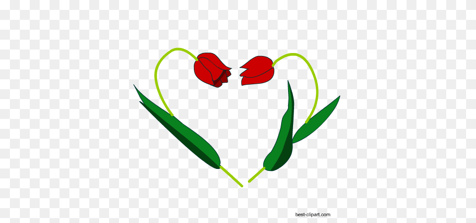 Heart Clip Art Images And Graphics, Flower, Petal, Plant, Leaf Free Png