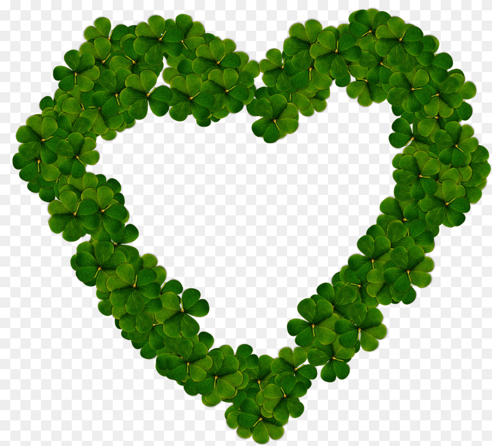 Heart Clover Heart Clover, Leaf, Plant, Green, Symbol Free Png