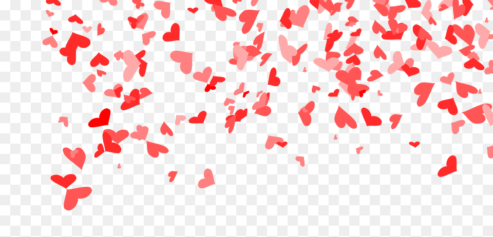 Heart Confetti Background Transparent Onlygfxcom Transparent Background Heart Confetti, Flower, Paper, Petal, Plant Free Png Download