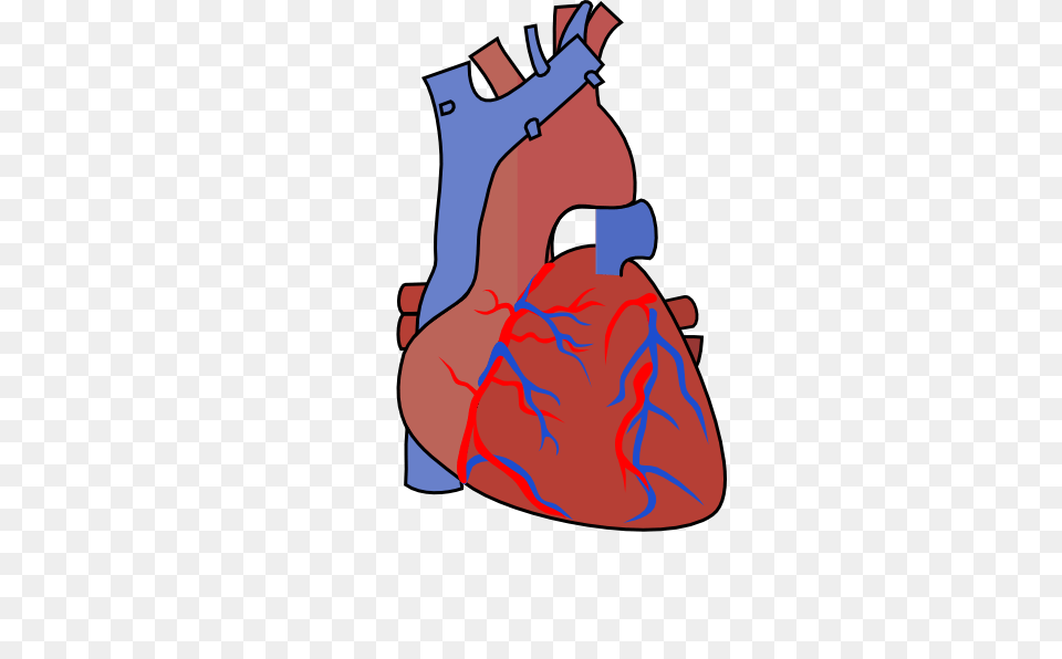 Heart Diagram Vein Clip Art, Dynamite, Weapon, Bag Png Image