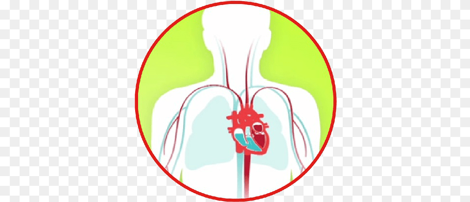 Heart Failure Diagram Heart Failure, Face, Head, Person, Disk Png