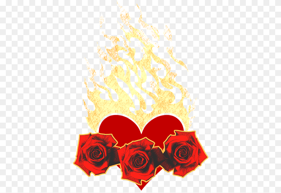 Heart Flame Fire Love Romance Symbol Flowers Garden Roses, Flower, Plant, Rose Free Transparent Png