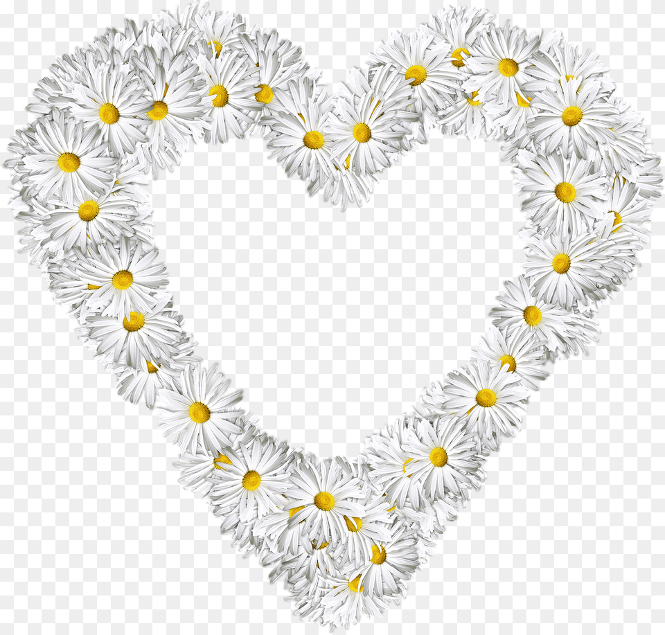 Heart Flowers Love Valentine Daisies S Flower Heart Images Transparent, Daisy, Plant, Flower Arrangement Png Image