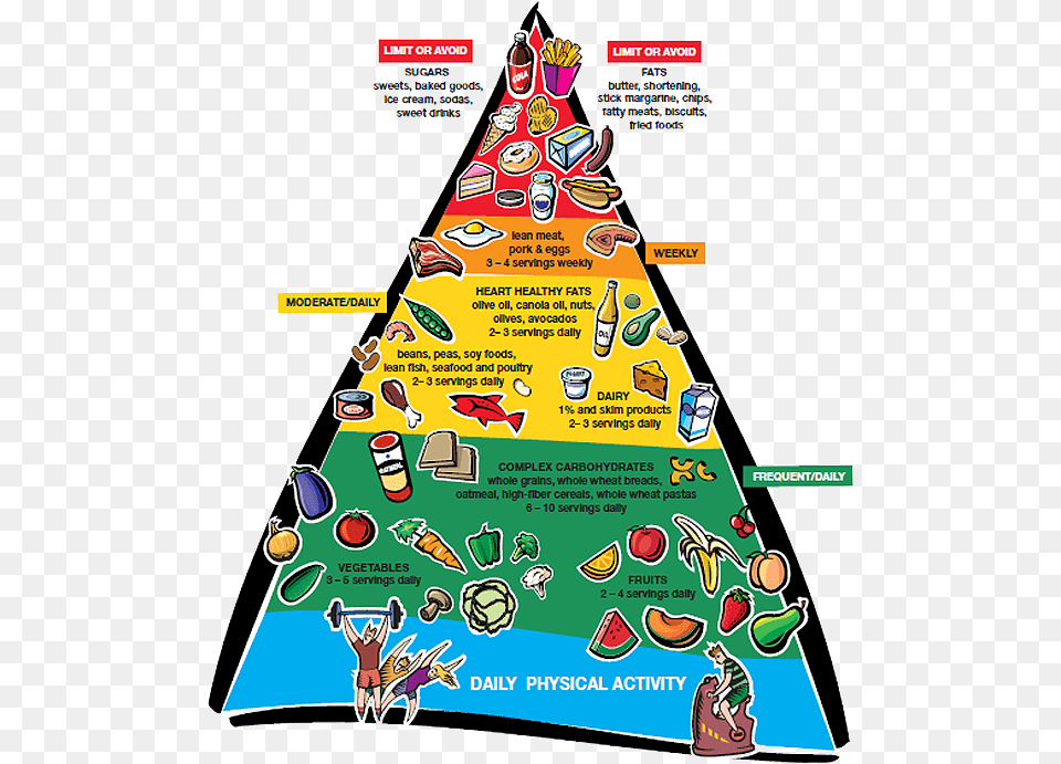 Heart Healthy Food Pyramid Clipart Healthy Heart Food Pyramid, Advertisement, Poster, Person, Baby Free Png