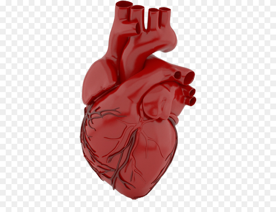 Heart Illustration, Clothing, Glove, Food, Ketchup Png Image