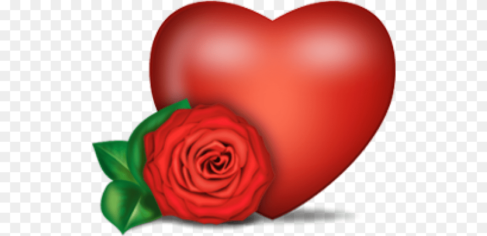 Heart Image Download Heart With Flower, Plant, Rose, Petal Free Png