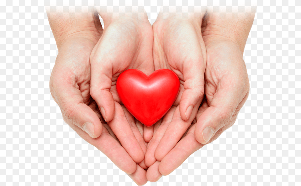 Heart In Hand, Symbol, Baby, Person, Body Part Free Png