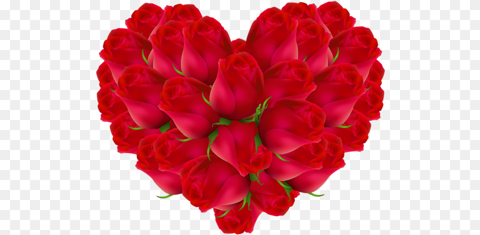 Heart Lolaa Smiles Ft Vybz Kartel, Dahlia, Flower, Flower Arrangement, Flower Bouquet Free Png
