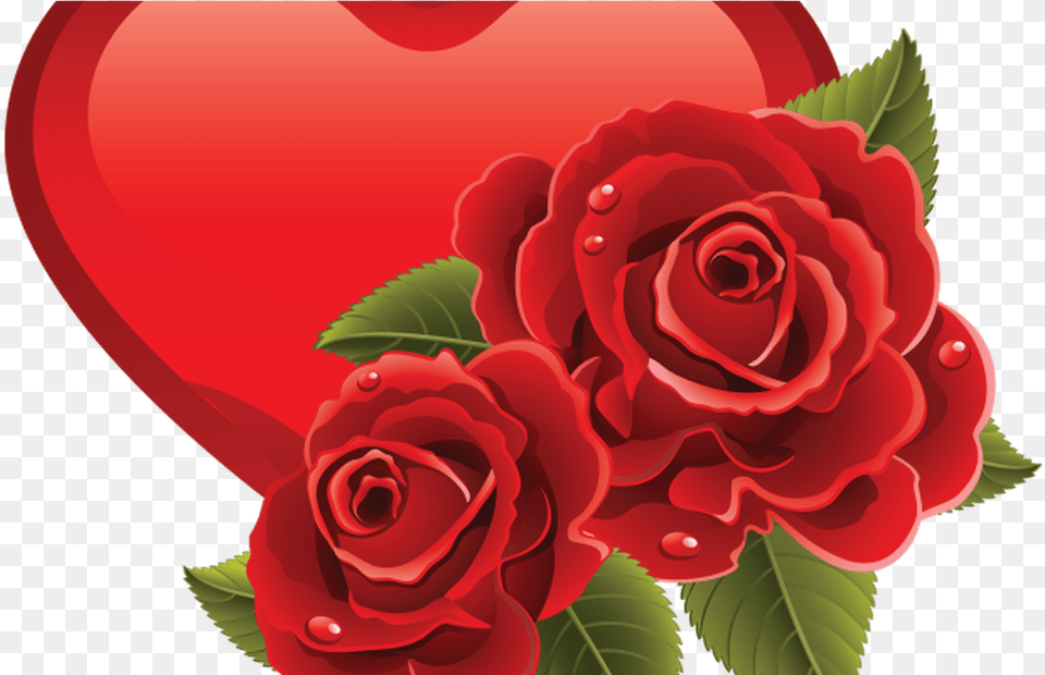 Heart Love Background Day White Red Symbol Valentine Good Morning Heart Rose, Flower, Plant Free Png Download