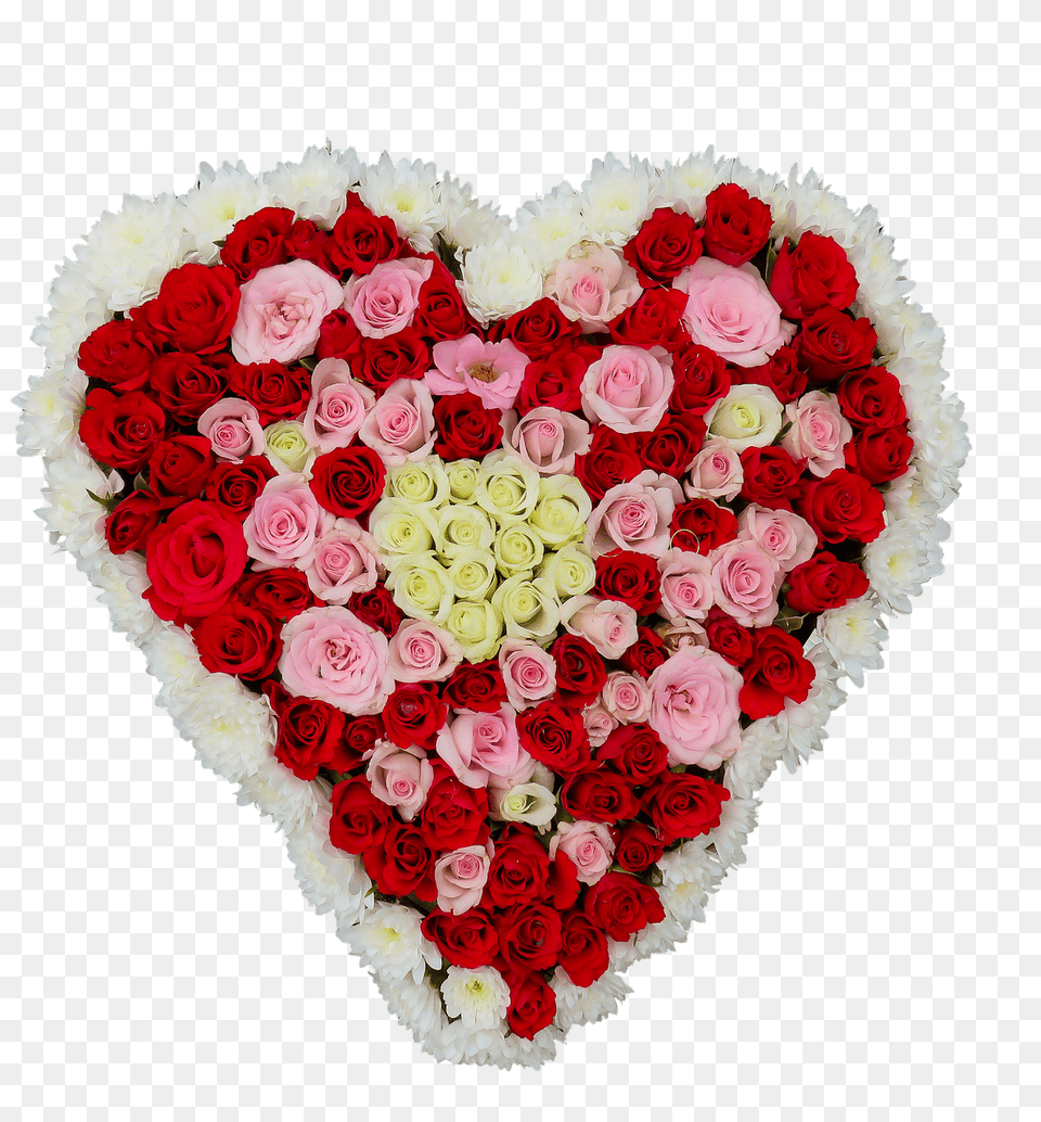 Heart Made Of Roses, Flower, Plant, Art, Floral Design Free Transparent Png