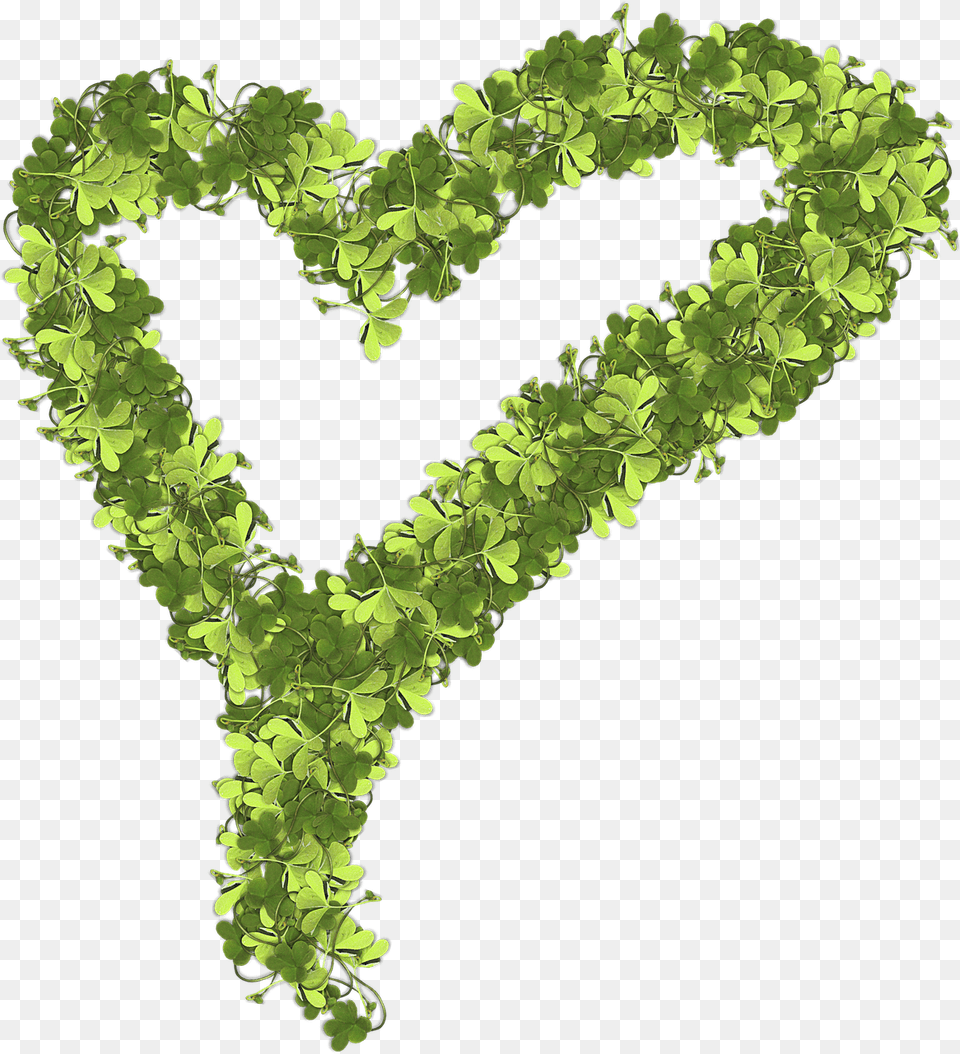 Heart Made Of Shamrocks, Green, Plant, Land, Nature Png
