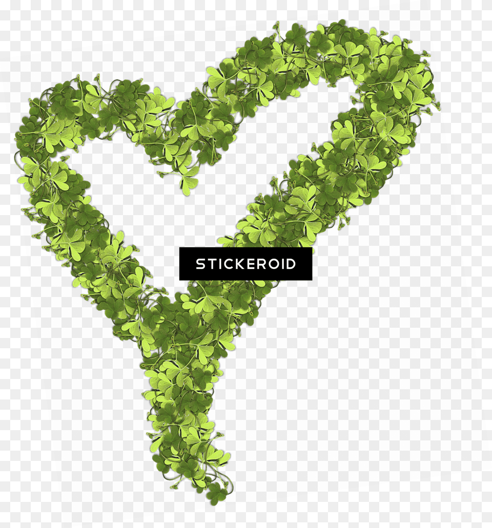 Heart Made Of Shamrocks Portable Network Graphics, Green, Plant, Art, Moss Free Png Download
