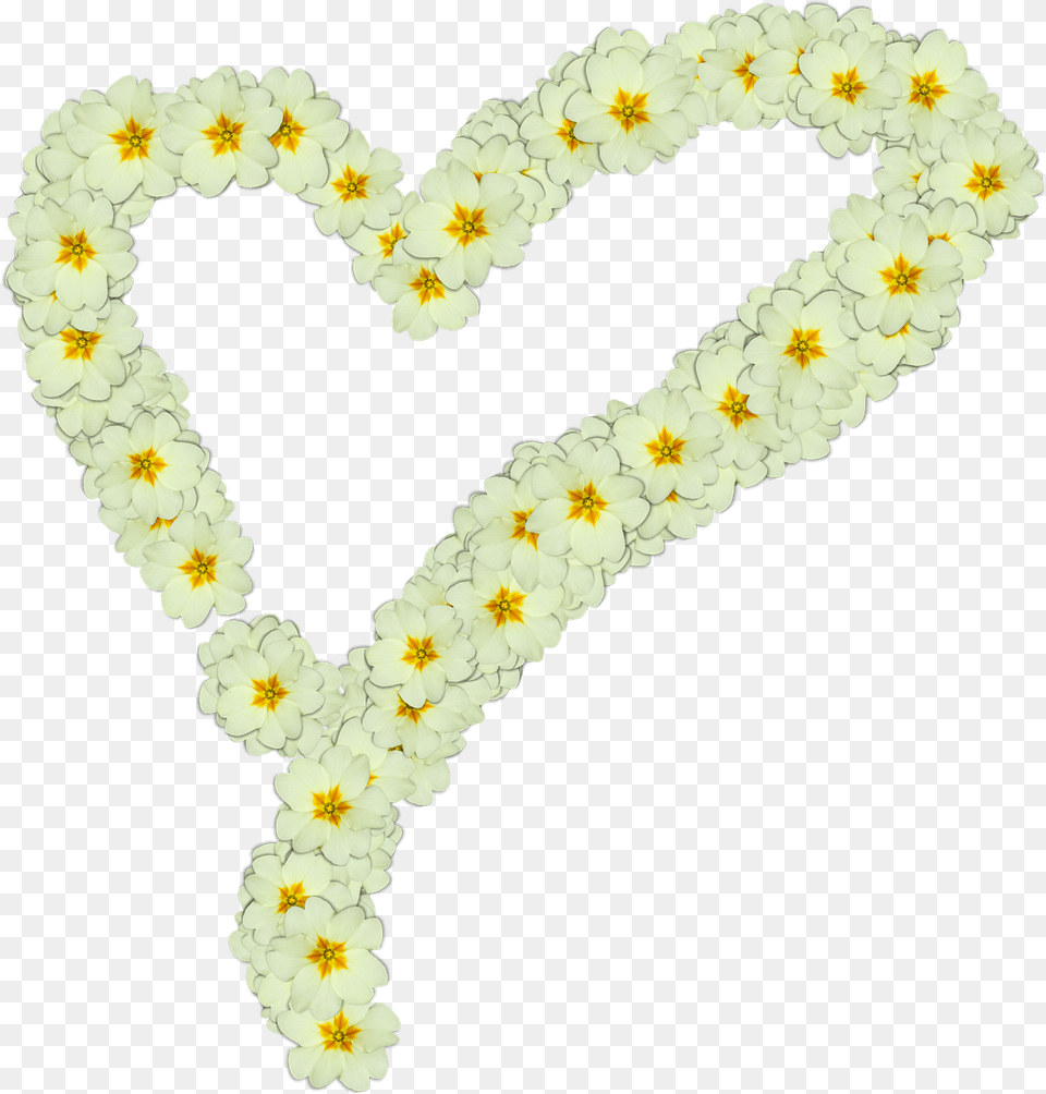 Heart Made Of White Flowers, Accessories, Flower, Flower Arrangement, Ornament Png Image