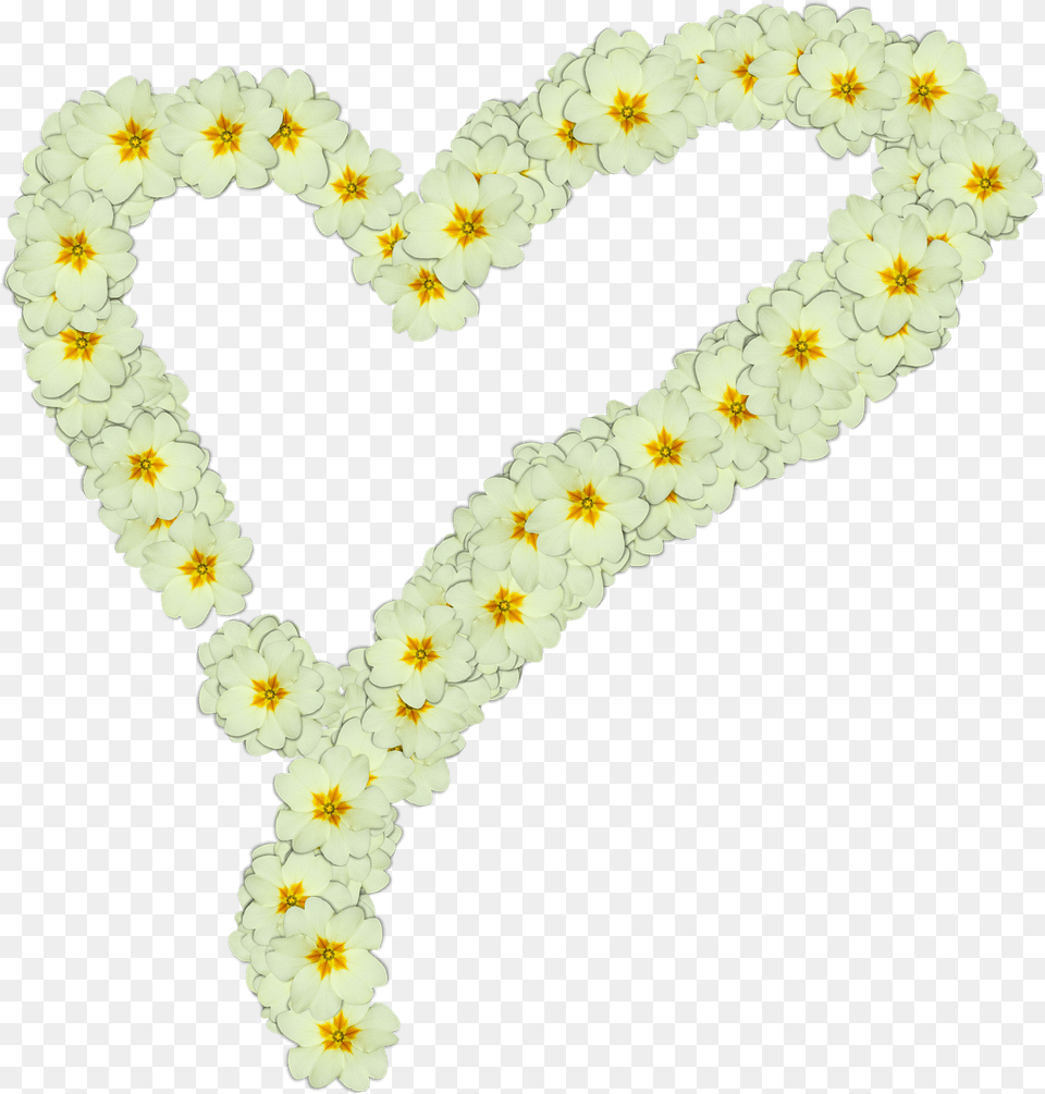 Heart Made Of White Flowers Transparent Flores Margaritas Con Corazones, Accessories, Flower, Flower Arrangement, Ornament Png Image