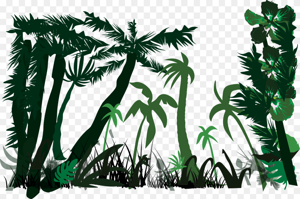 Heart Of Darkness Nostromo Lord Jim Under Western Eyes Jungle Plants Vector, Palm Tree, Rainforest, Outdoors, Nature Png Image