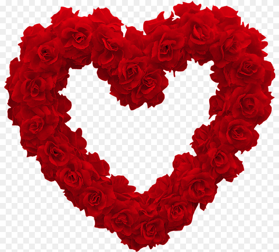 Heart Of Roses, Flower, Plant, Rose Free Transparent Png