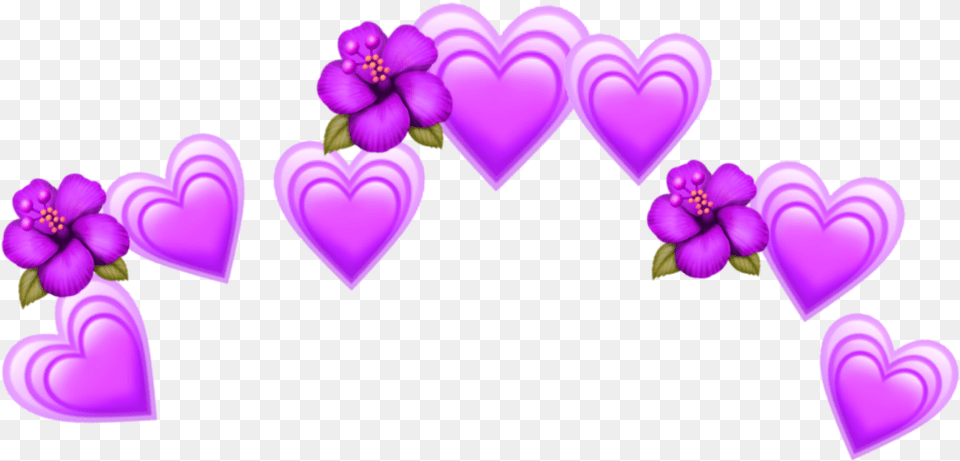 Heart On Head, Purple, Flower, Plant Png