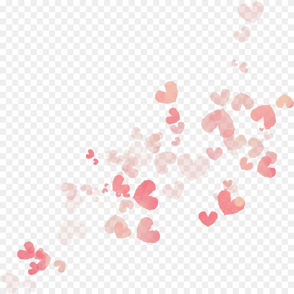 Heart Orange Red Vermelho Laranja Pink Hearts, Flower, Petal, Plant Png Image