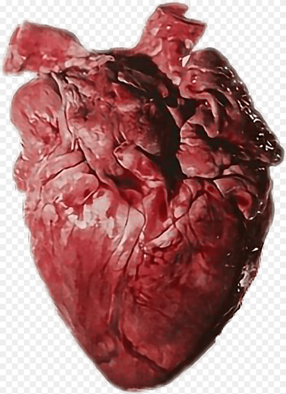 Heart Organ, Beef, Food, Meat, Flower Free Transparent Png