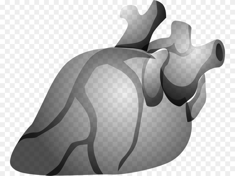 Heart Organ Anatomy Human Body Cardiology Jantung Kartun Hitam Putih, Gray Png Image