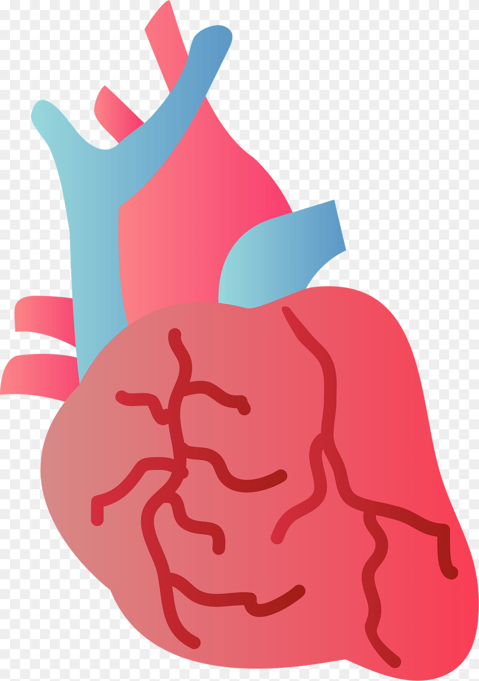 Heart Organ Clipart Free Png Download