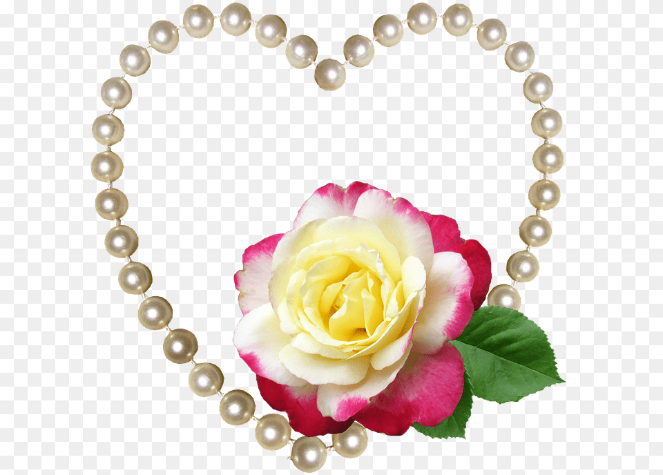 Heart Pearls Rose Floral Decoration, Accessories, Flower, Jewelry, Plant Free Png