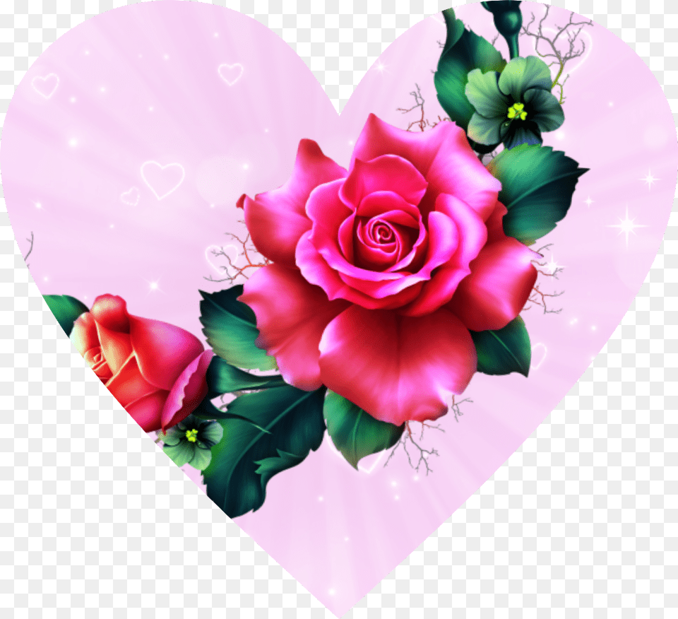 Heart Pink Flower Freetoedit Hybrid Tea Rose, Art, Graphics, Plant, Pattern Free Transparent Png