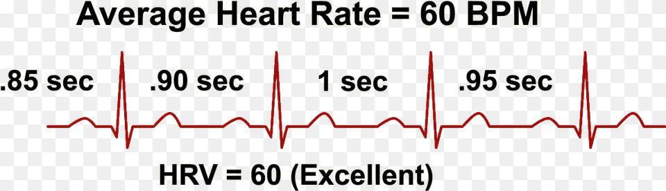 Heart Rate Variability And Bpm, Electronics Free Png Download