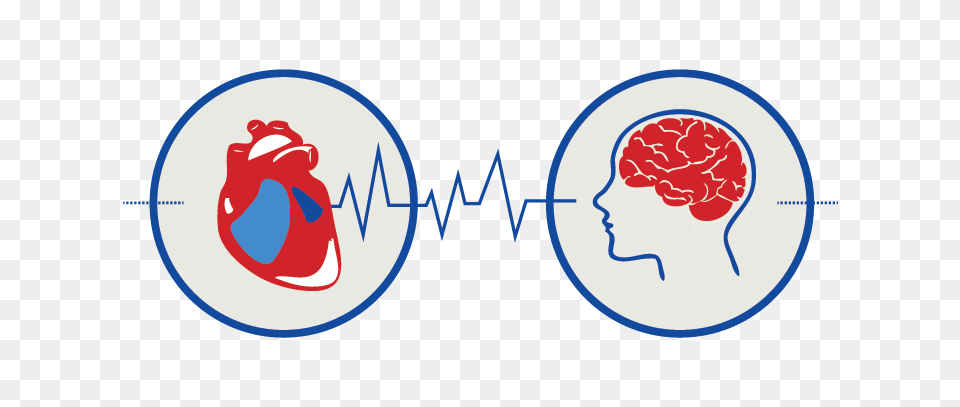 Heart Rhythm Society On Twitter The Afib Stroke Connection, Ct Scan Free Png Download