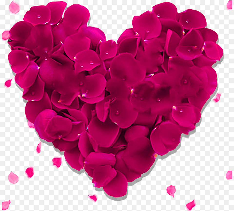 Heart Rose Image De Flores, Flower, Geranium, Petal, Plant Free Png Download