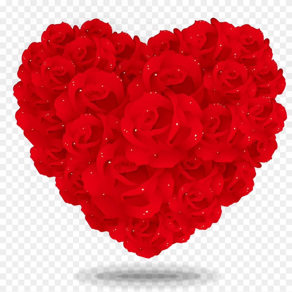 Heart Rose Image Background Rose Heart, Flower, Plant Free Transparent Png