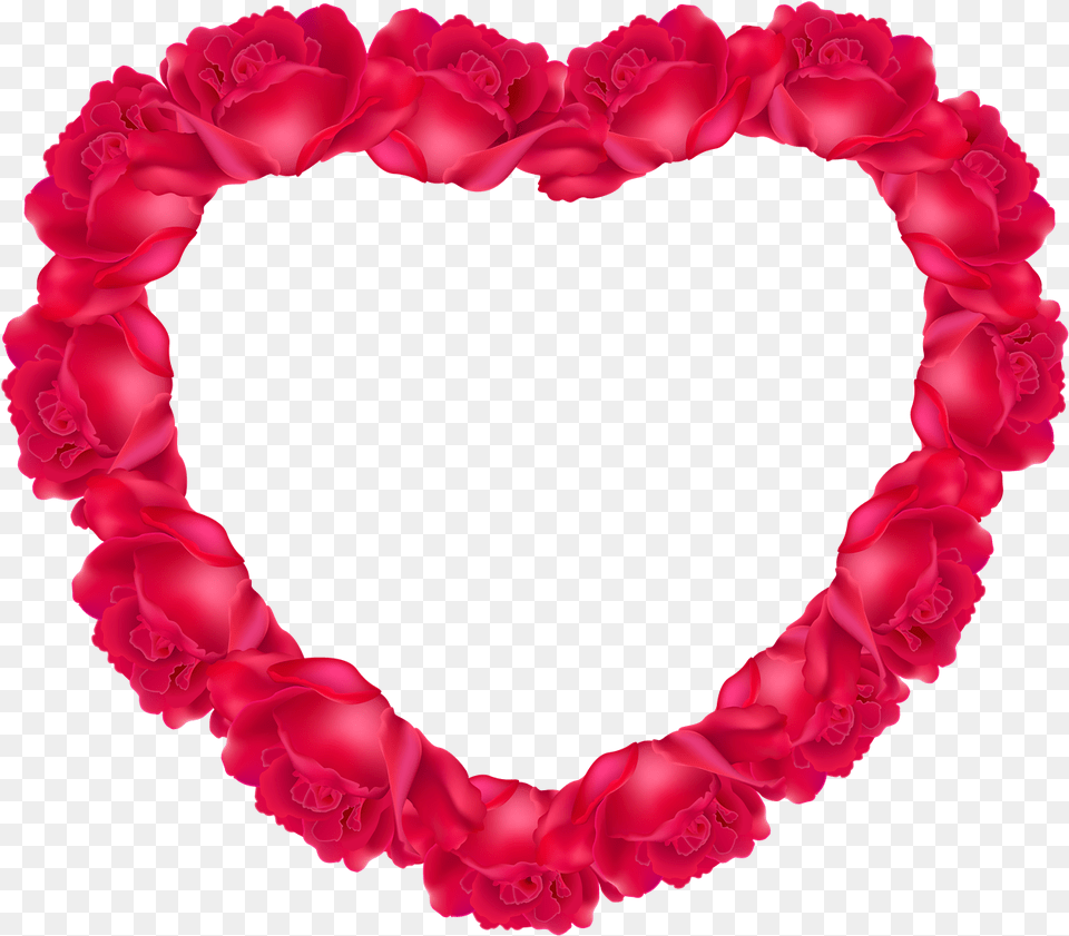 Heart Rose Photo Heart Of Roses, Flower, Petal, Plant, Carnation Free Png Download