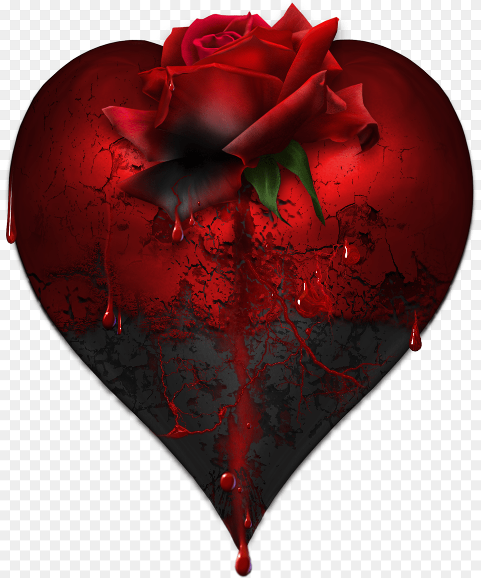Heart Rose Picture Good Night Image Love, Flower, Plant, Petal Free Transparent Png