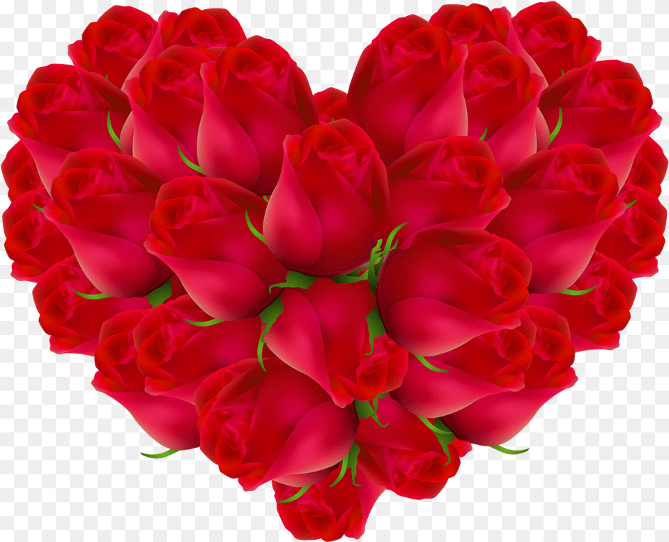 Heart Rose Background Marriage Heart Flowers, Dahlia, Flower, Flower Arrangement, Flower Bouquet Free Transparent Png