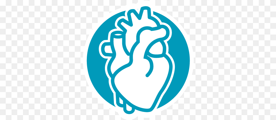 Heart Screening U0026 Diagnosis Baptist Health Louisville Ischemic Heart Disease Icon, Body Part, Hand, Person, Fist Free Transparent Png